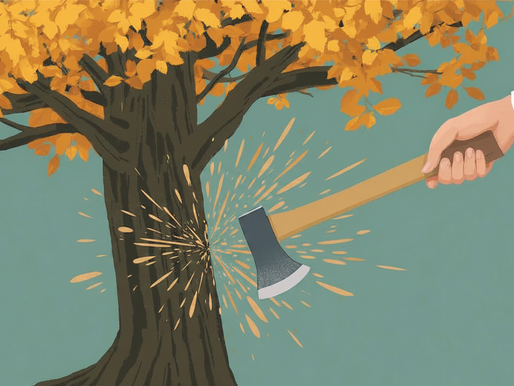 We can’t let Degrowth win