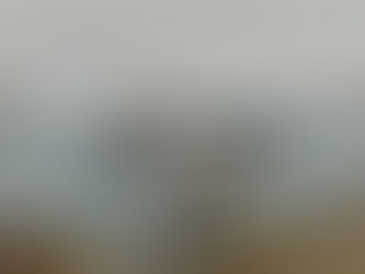 Ridley: How dangerous is the cruise ship hantavirus outbreak?